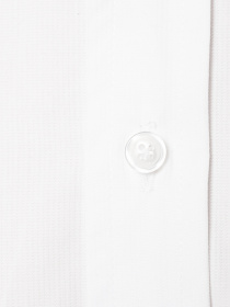 Сорочка повсякденна Arber модель GN05.09.30 Сорочка повсякденна Arber модель GN05.09.30 Фото