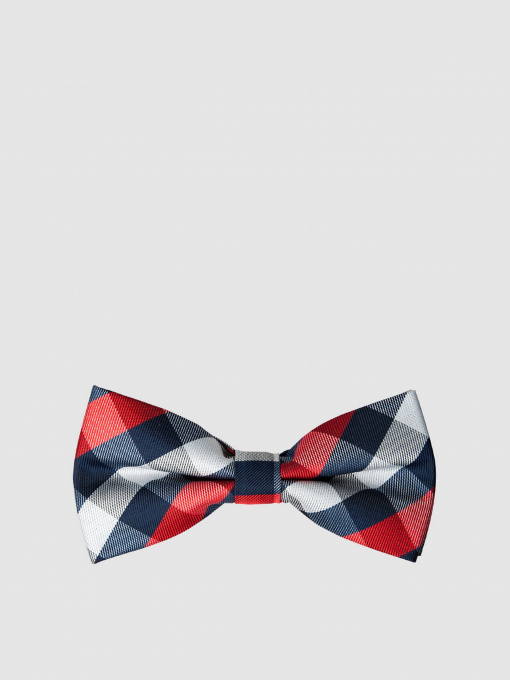 Бабочка Arber модель AL12.19.20 Фото