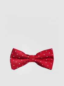 Бабочка Arber модель AL12.21.20 Фото