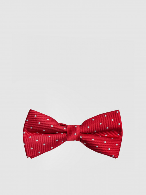 Метелик Arber модель AL12.21.20 Фото