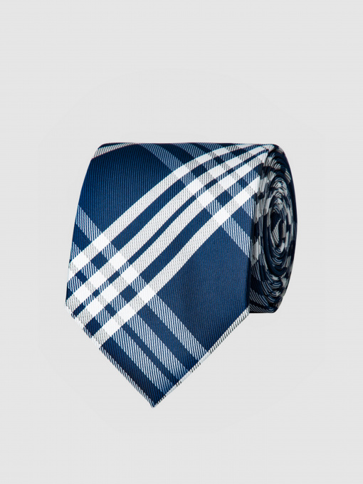 Галстук Arber модель AL12.24.10 Фото