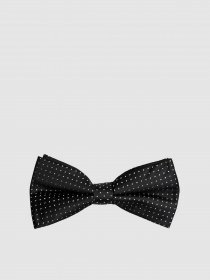 Бабочка Arber модель AL12.27.10 Фото