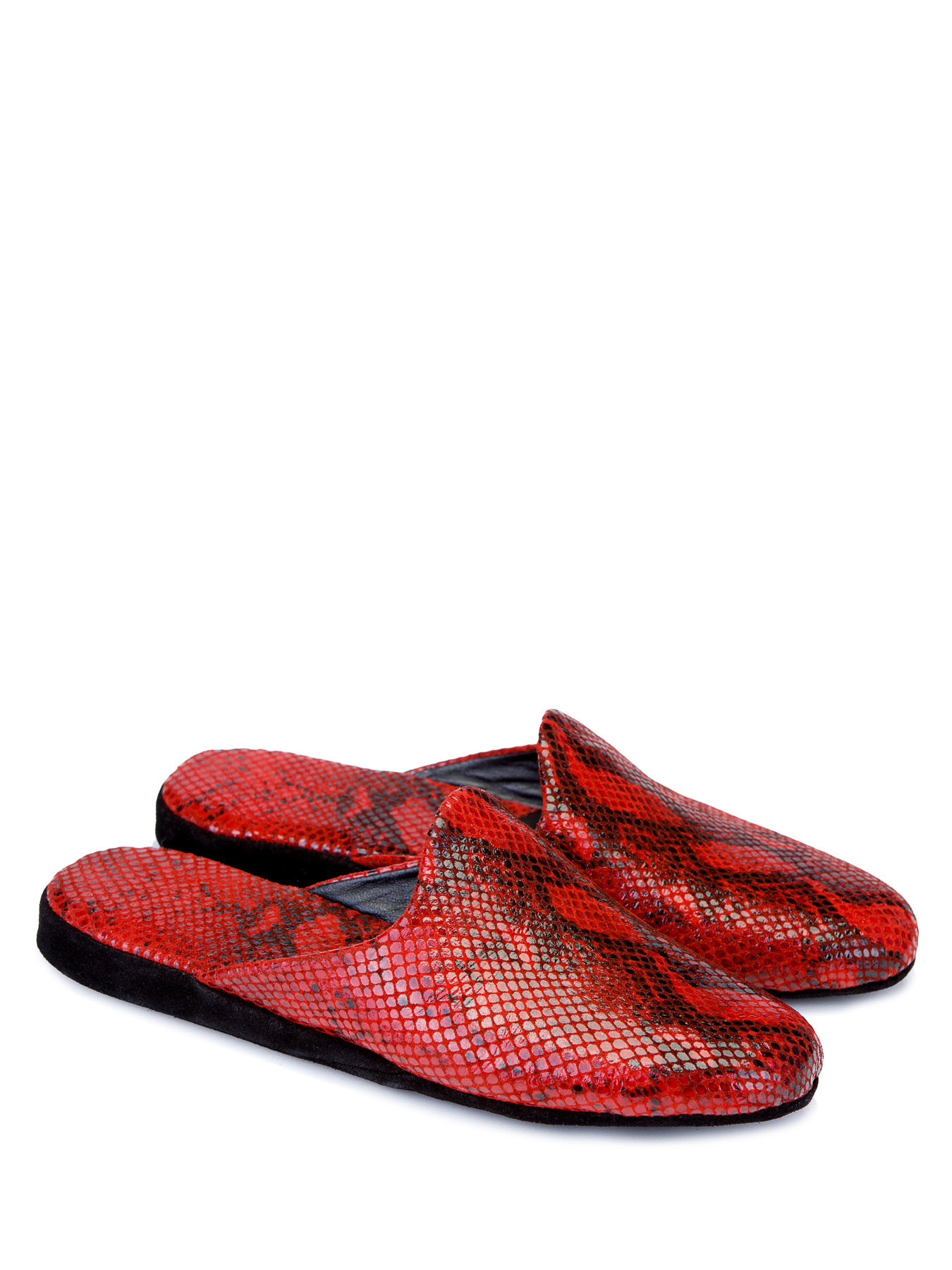 Тапки Pellagio модель 5505605 Фото