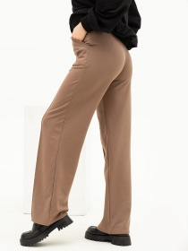 Спортивні штани ISSA Plus модель 13684_brown Фото