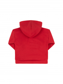 Худи Bembi модель 353084222.F00 Фото