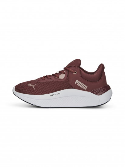 Кросівки для тренувань PUMA Softride Pro Wns модель 377045 — фото - INTERTOP