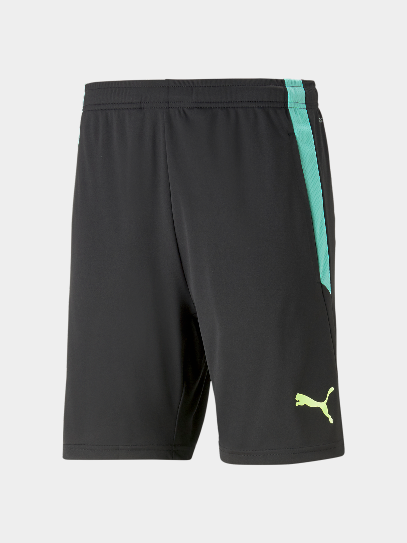 Спортивні шорти PUMA Teamliga Training Shorts 2 модель 657667 Фото