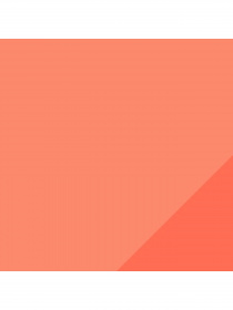 Набір шкарпеток PUMA Sport Light Sneaker 2p модель 935476 Фото