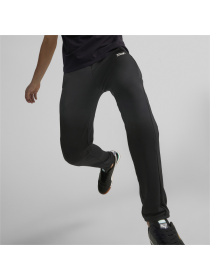 Штаны спортивные PUMA модель 538242 Фото