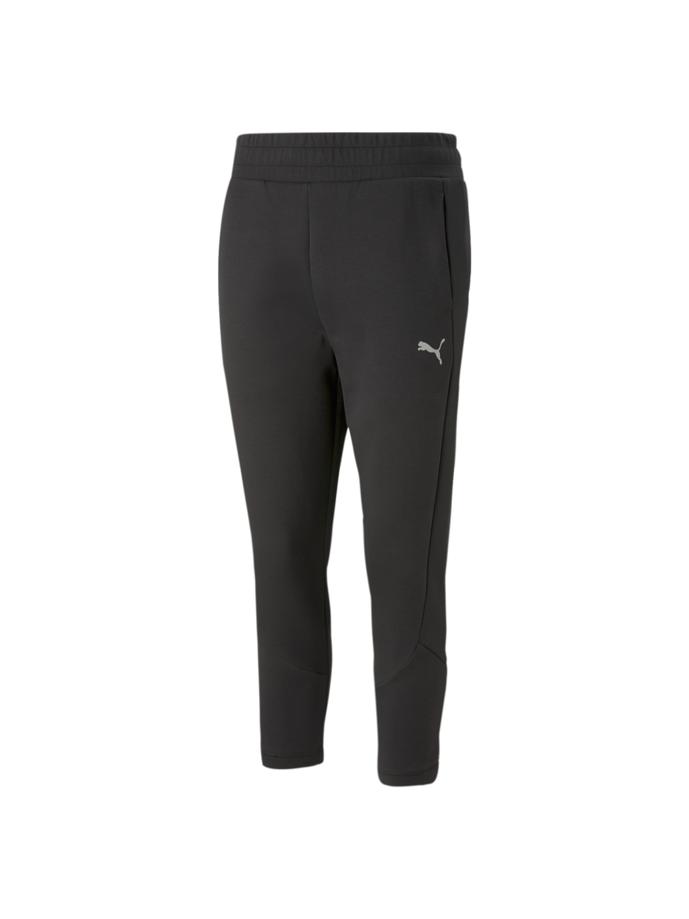 Штаны спортивные PUMA модель 673118 Фото