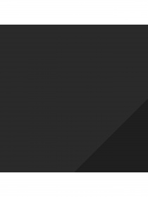 Шорти спортивні PUMA модель 520525 Фото