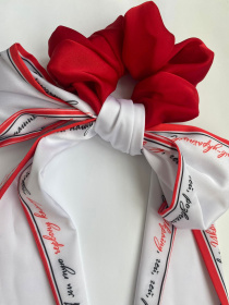 Резинка+твілі колекція Україна "Червона калина" MyScarf модель mp196416 Фото