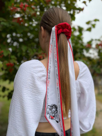 Резинка+твілі колекція Україна "Червона калина" MyScarf модель mp196416 Фото