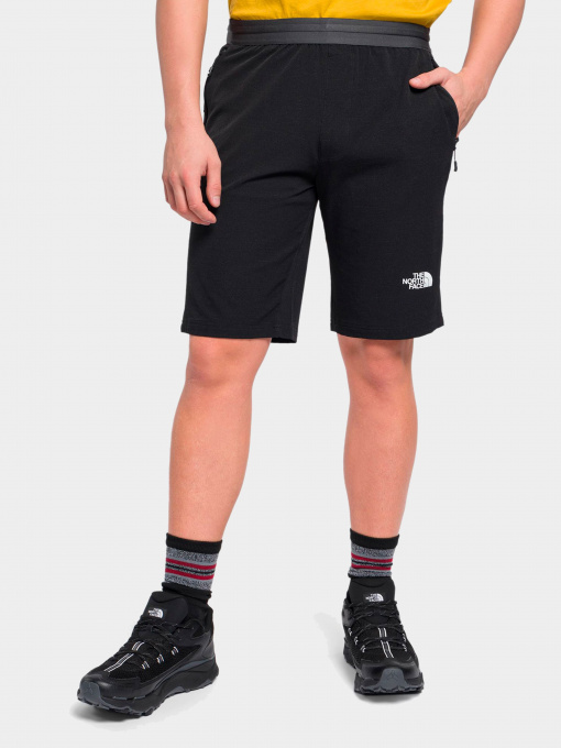 Шорты The North Face модель NF0A5IMMJK31 Фото