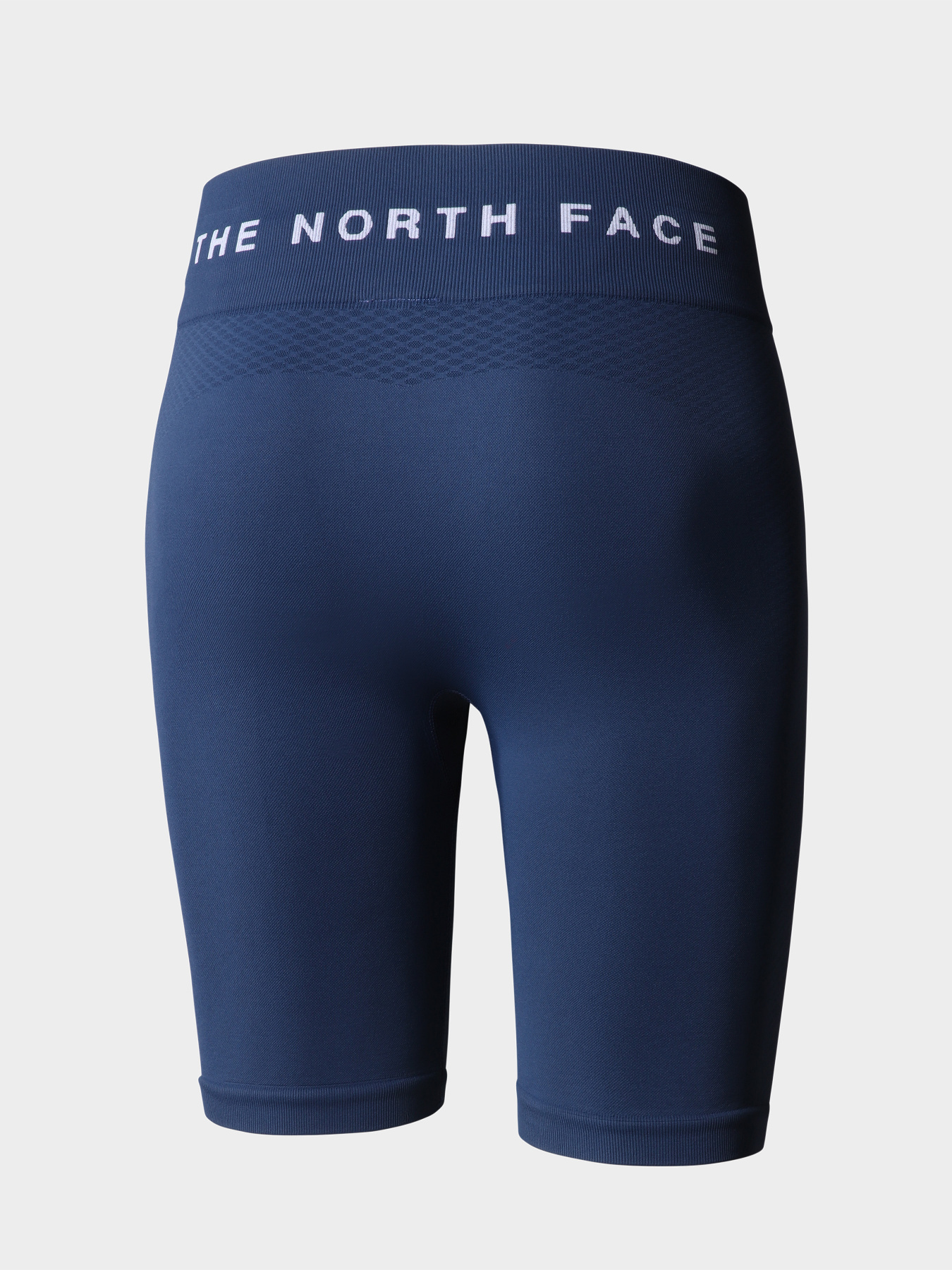 Шорты The North Face модель NF0A82GNHDC1 Фото