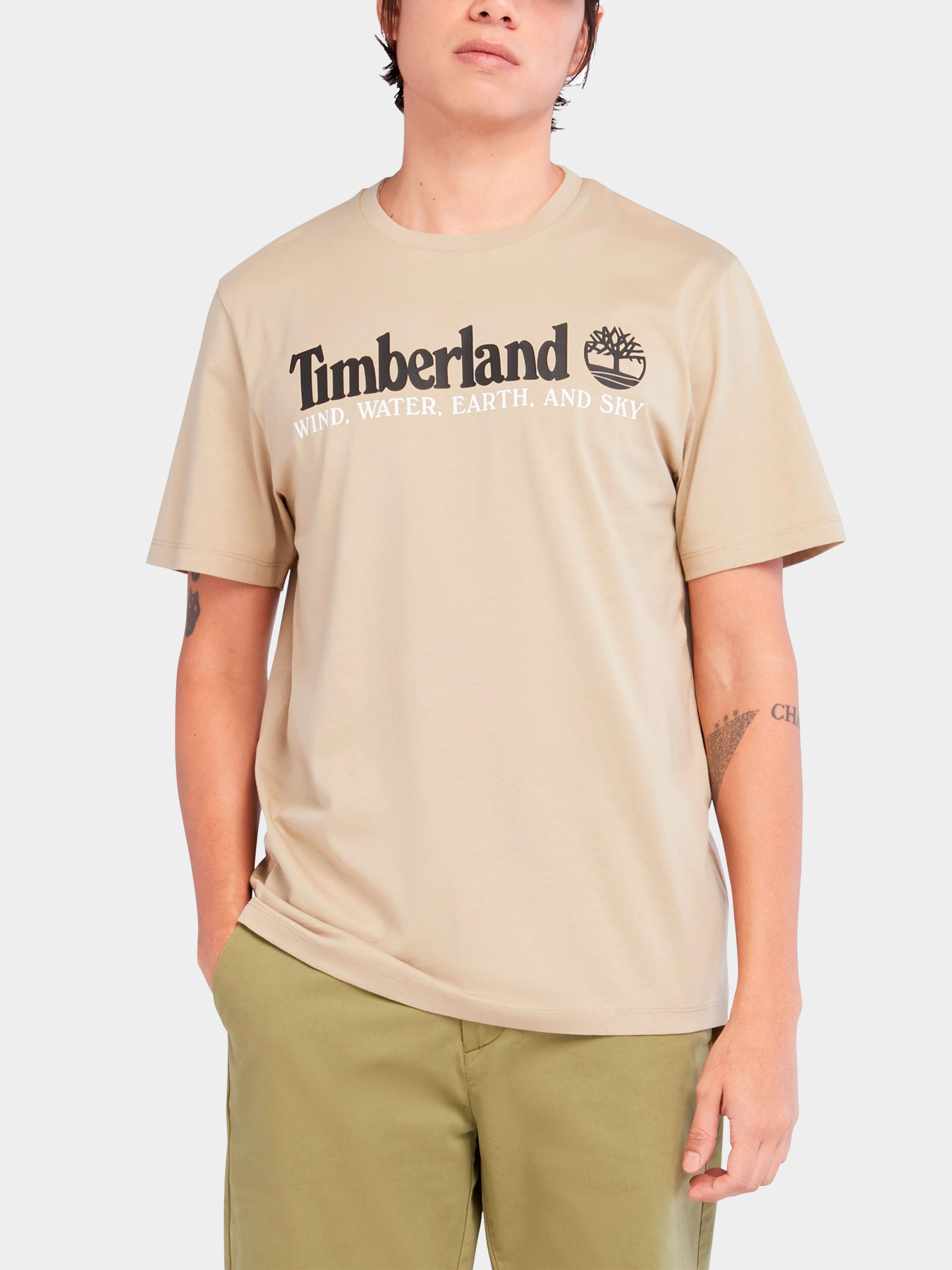 Футболки и поло Timberland модель TB0A27J8DH4 Фото