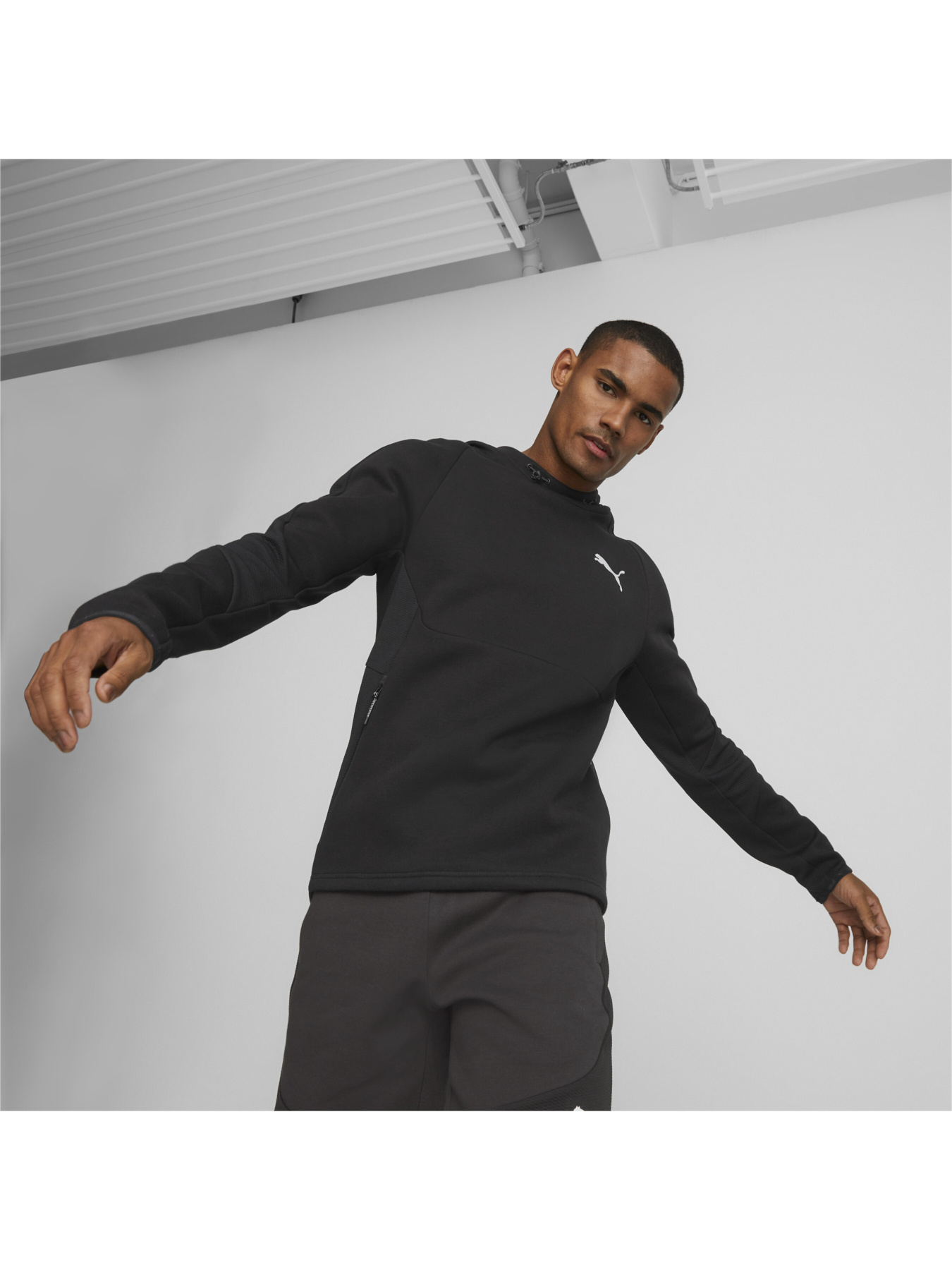 Спортивная кофта PUMA EVOSTRIPE Hoodie модель 673312 Фото