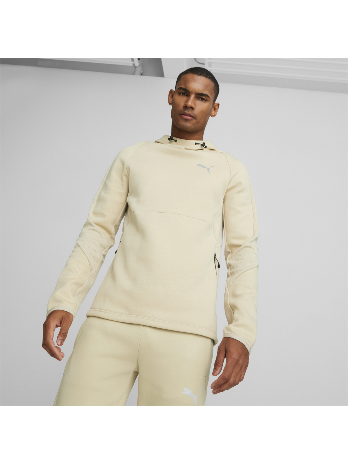 Спортивная кофта PUMA EVOSTRIPE Hoodie модель 673312 Фото