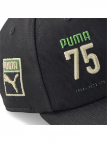 Кепка PUMA PRIME BB Cap Anniversary модель 024384 Фото