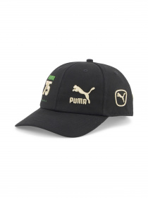Кепка PUMA PRIME BB Cap Anniversary модель 024384 Фото