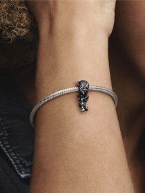 Класичні PANDORA модель 790783C01 Фото