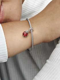 Класичні PANDORA модель 792571C01 Фото