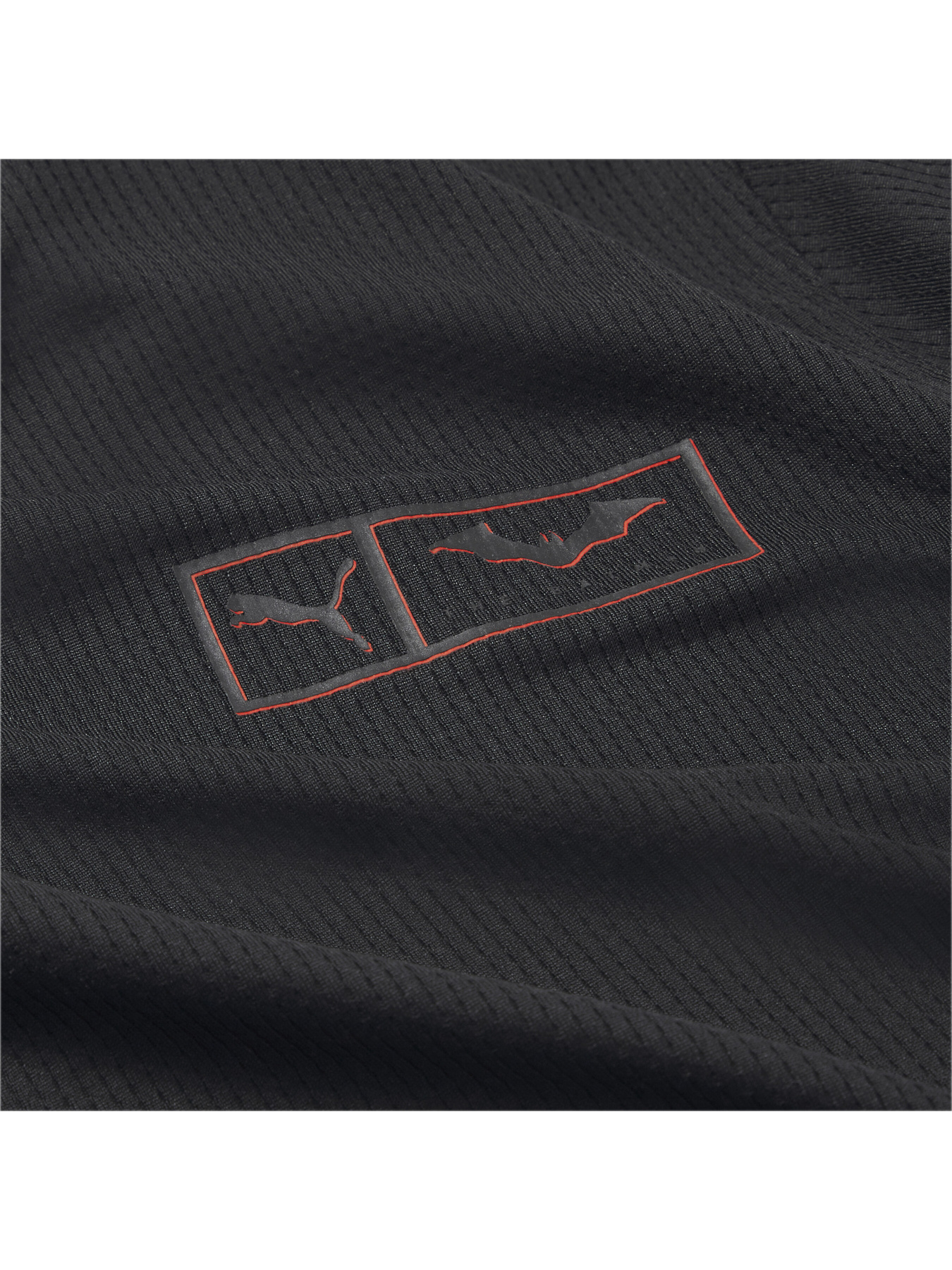 Спортивна футболка PUMA модель 521211 Фото