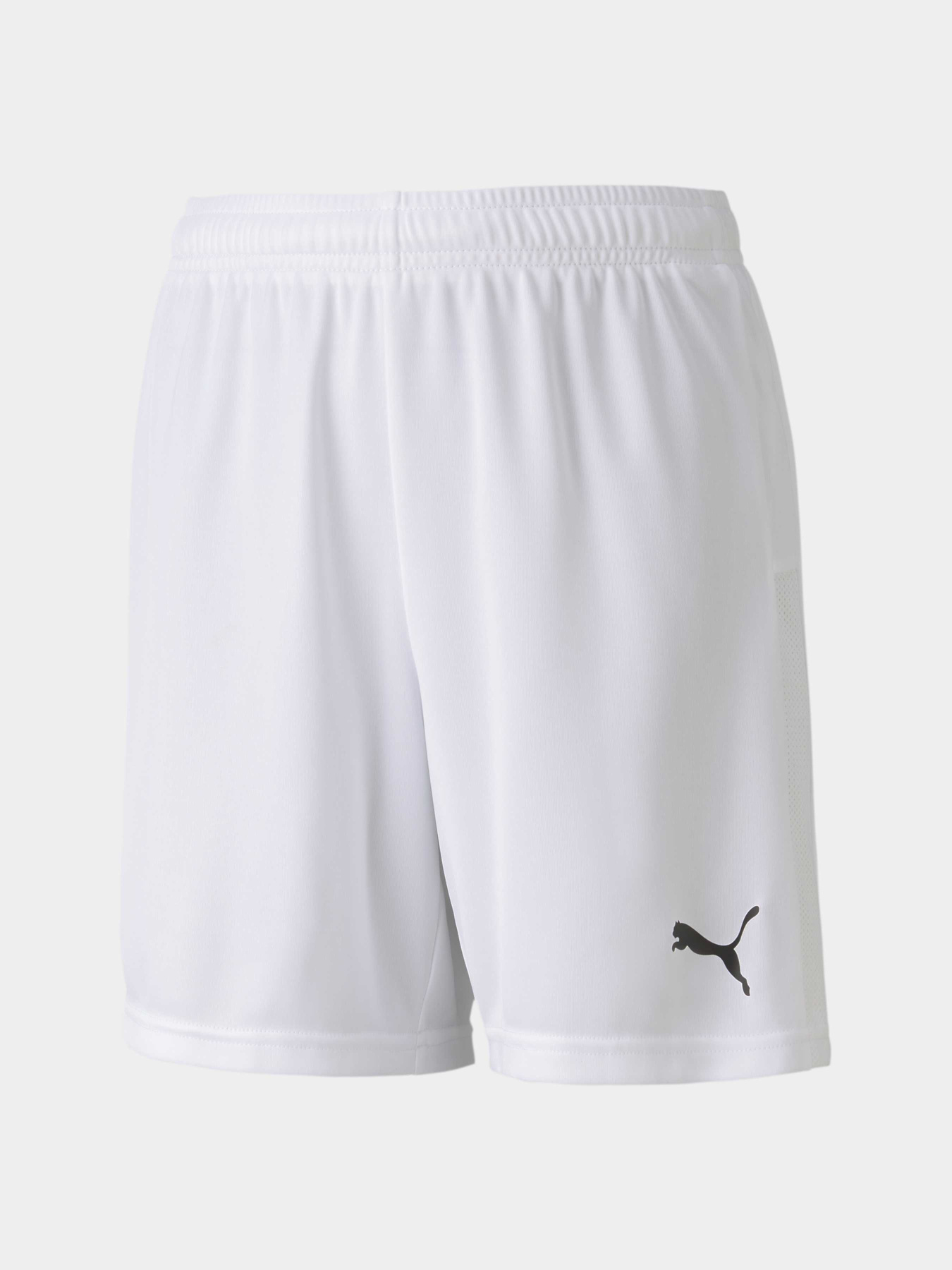 Шорти спортивні PUMA Teamgoal 23 Knit Shorts Jr модель 704263 Фото