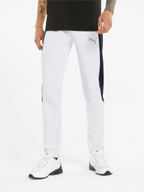 Спортивні штани PUMA Evostripe Pants модель 847404 Фото