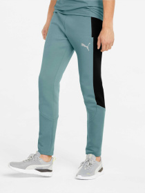 Спортивні штани PUMA Evostripe Pants модель 847404 Фото