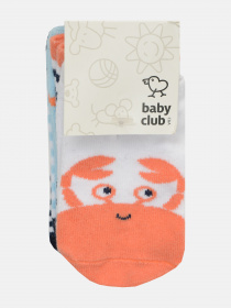 Набор носков C&A модель 54624 Набор носков C&A модель 54624 Фото