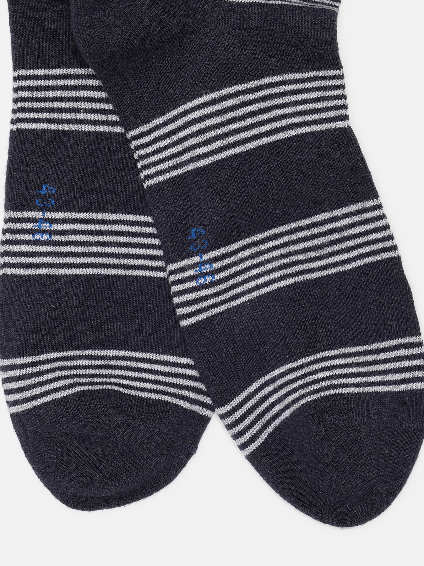 Шкарпетки C&A модель 67374 Фото