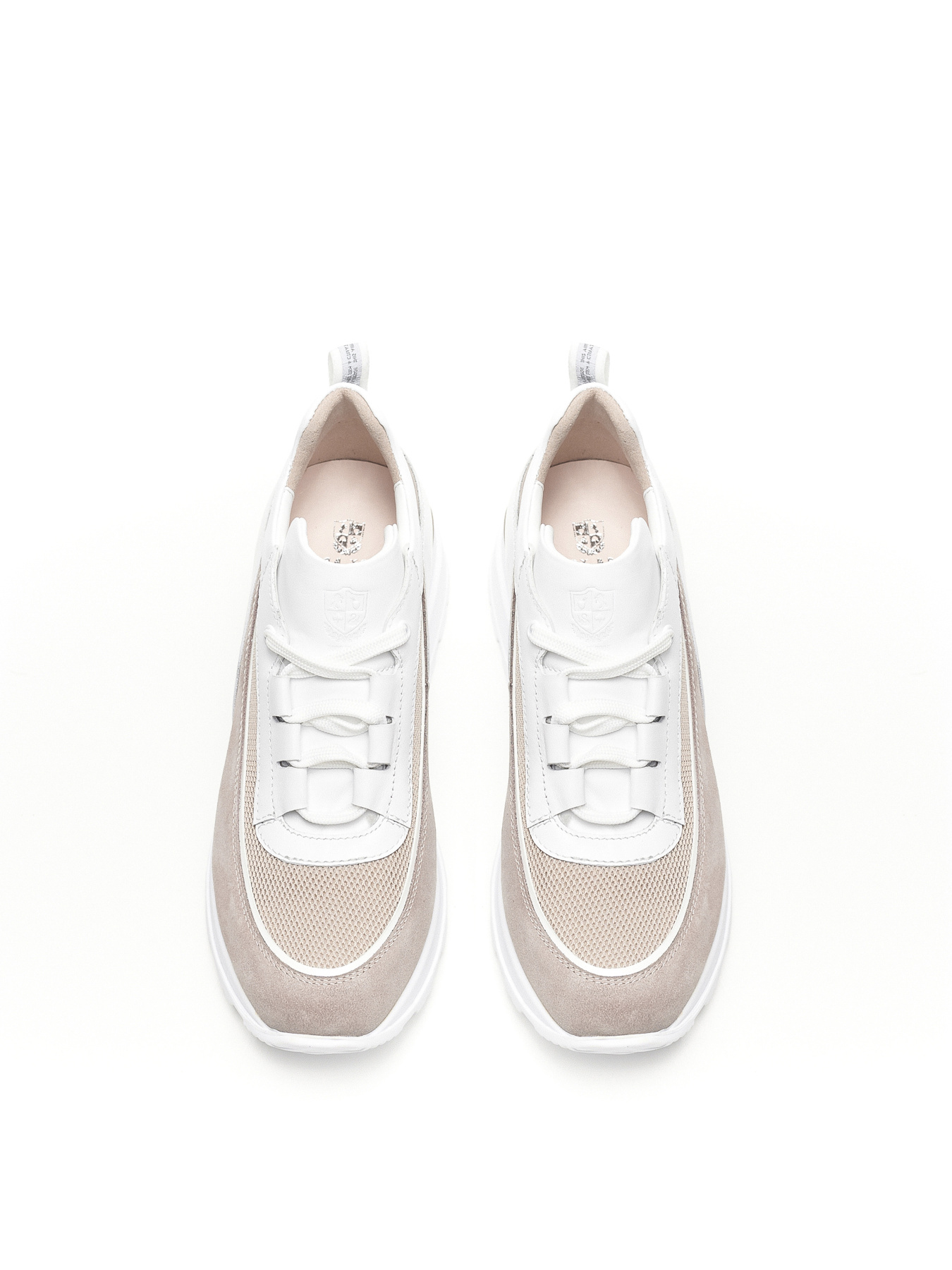 Кроссовки Alex Bell модель 1169048 Фото