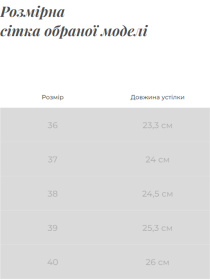 Ботинки Gem модель 14600231-2 Фото