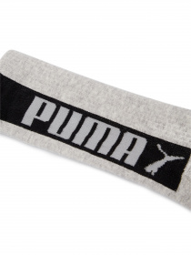Набір шкарпеток PUMA Men Seasonal Logo Sock 2P модель 907804 Фото