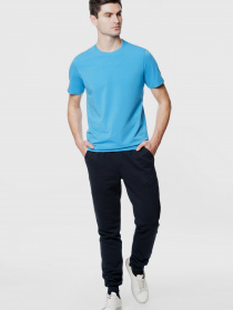 Футболка Arber модель AM09.54.20 Фото