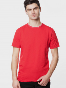 Футболка Arber модель AM09.55.20 Фото