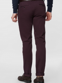 Чиносы Arber модель AN01.29.30 Фото