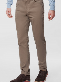 Чиносы Arber модель AN01.30.31 Фото