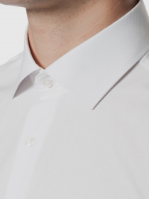 Рубашки Arber модель AN05.10.30 Фото