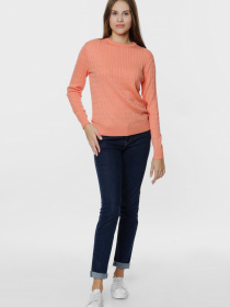 Джемпер Arber модель ARW10.01.37 Фото