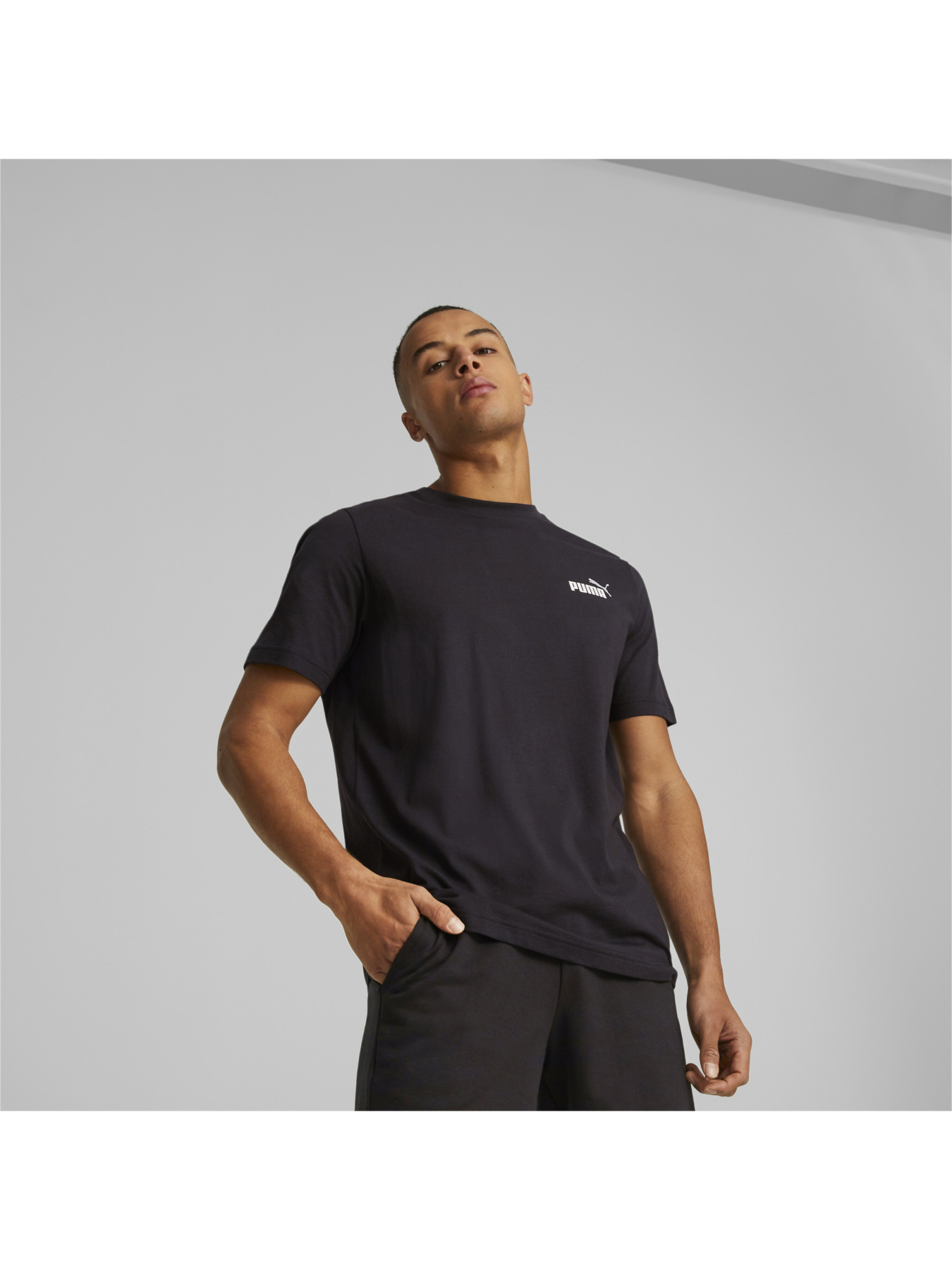 Футболка PUMA Ess+ 2 Col Small Logo Tee модель 674470 Фото