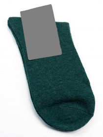 Носки ISSA Plus модель GNS-215_green Фото