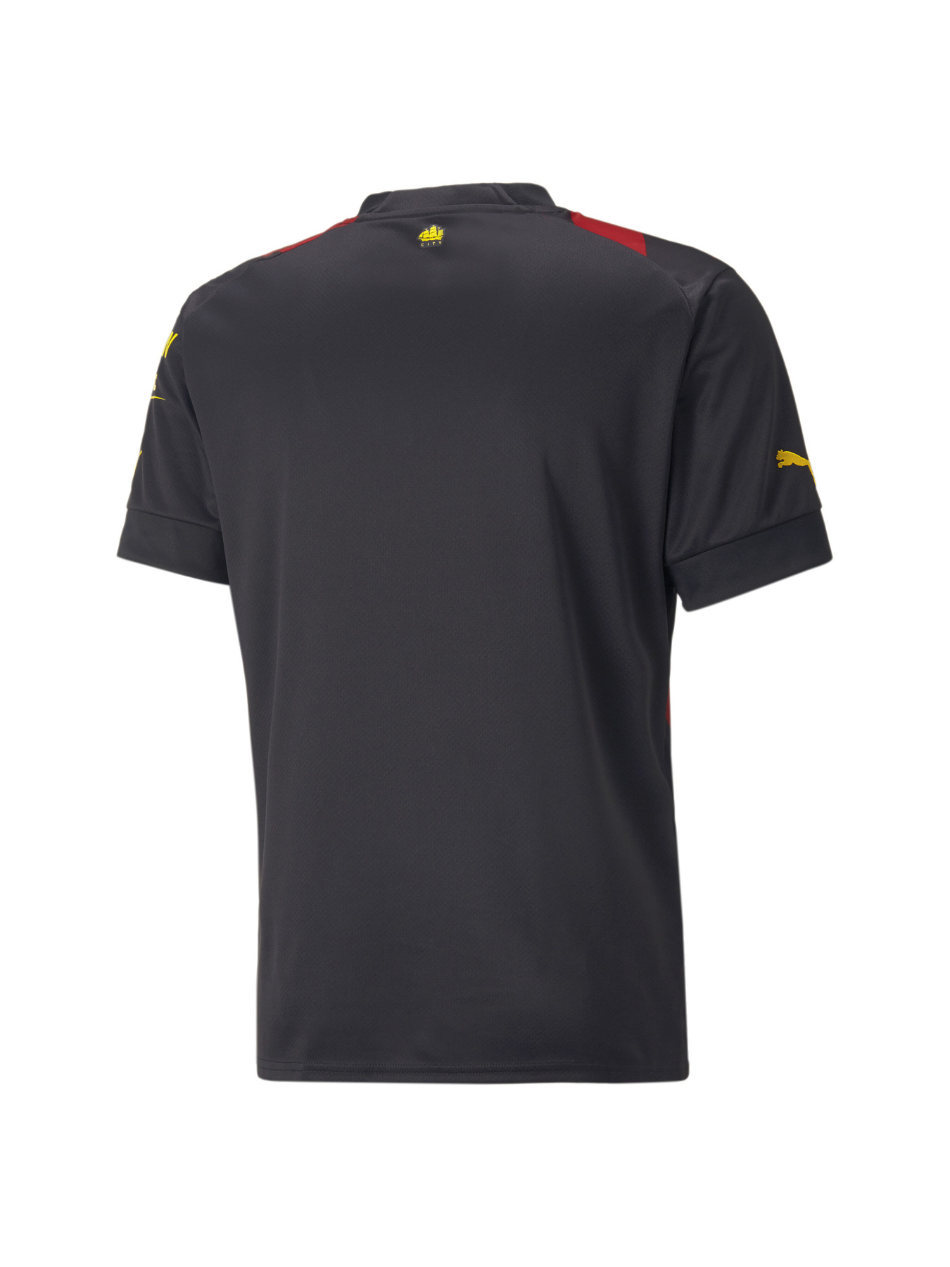 Спортивная футболка PUMA модель 765722 Фото