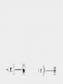 Серьги-гвоздики TOUS модель 915303520 Фото