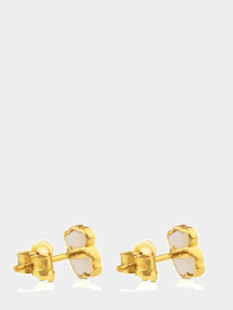 Серьги-гвоздики TOUS модель 812783030 Серьги-гвоздики TOUS модель 812783030 Фото