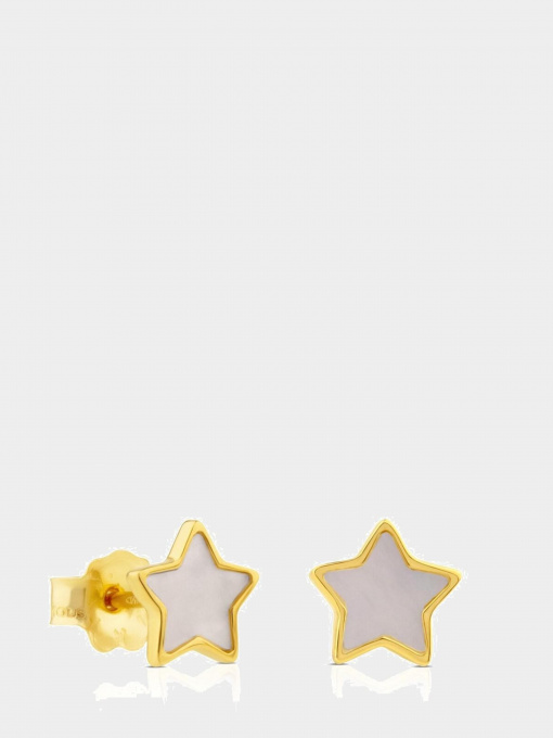 Серьги-гвоздики TOUS модель 812783020 Фото