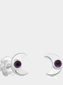 Серьги-гвоздики TOUS модель 812403800 Фото