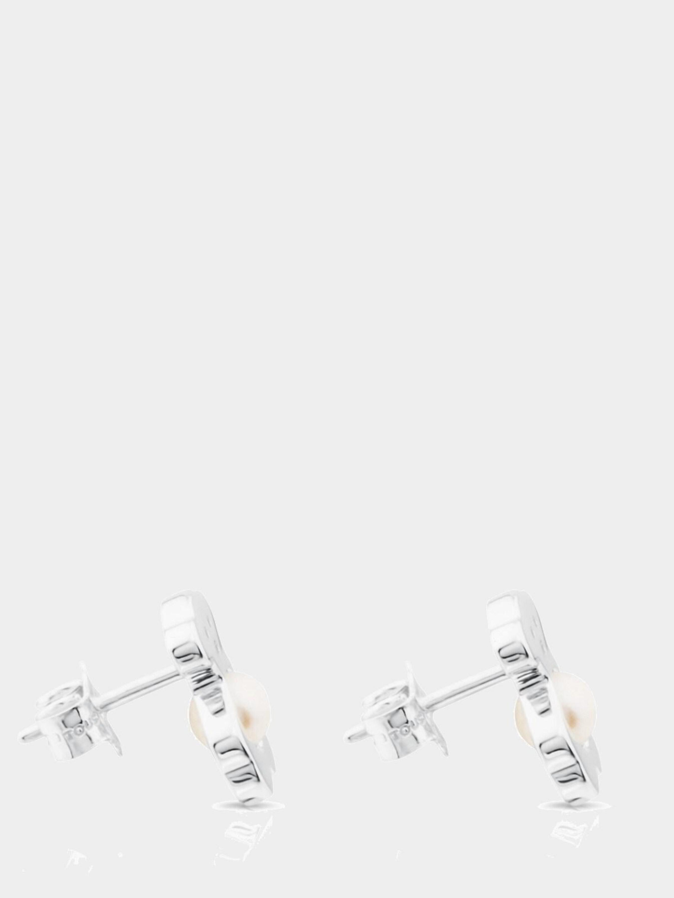 Серьги-гвоздики TOUS модель 612593500 Фото