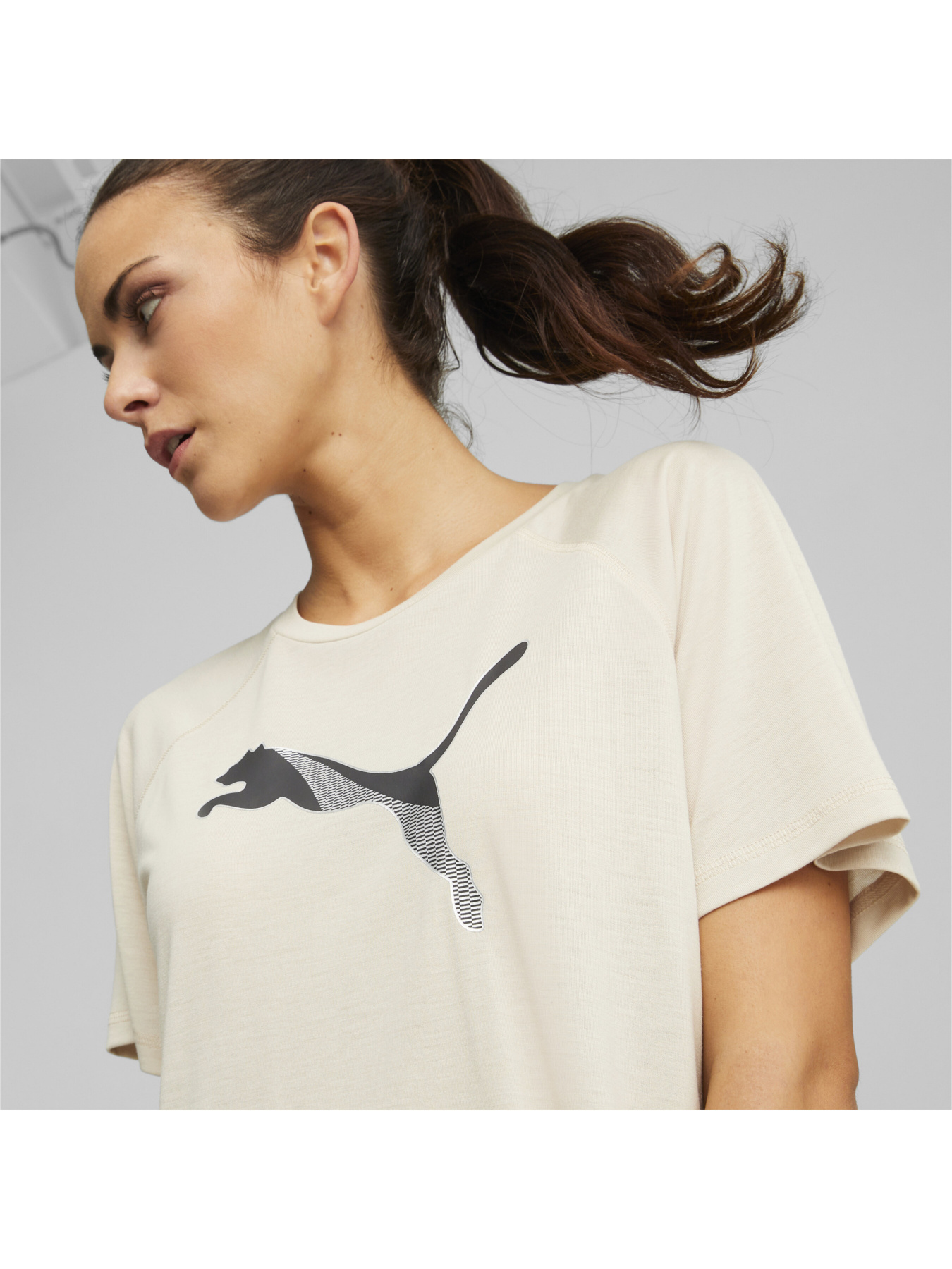 Футболка PUMA Evostripe Tee модель 673066 Фото